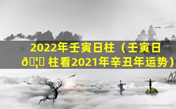 2022年壬寅日柱（壬寅日 🦆 柱看2021年辛丑年运势）